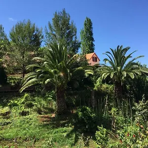 casa-dolivia.madeira-islandshotels.com/